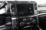 2024 Ford F-250 Crew Cab 4x4 Pickup for sale #D452756A - photo 17