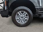 2023 Ford F-350 Crew Cab SRW 4WD Pickup for sale #D452852A - photo 14
