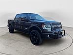 2014 Ford F-150 SuperCrew Cab 4WD Pickup for sale #D463039A - photo 7