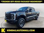 2023 Ford F-350 Crew Cab SRW 4WD Pickup for sale #D463487A - photo 1