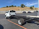 New 2024 Chevrolet Silverado 6500 Regular Cab Cab Chassis for sale #D141026 - photo 2