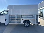 2024 Chevrolet Express 3500 Regular Cab RWD Cutaway for sale #D141534 - photo 6