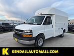 New 2025 Chevrolet Express 3500 Service Utility Van for sale #D153255 - photo 1