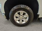 2019 Chevrolet Silverado 1500 Crew Cab 4WD Pickup for sale #D163131A - photo 14