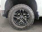 2024 Chevrolet Silverado 1500 Crew Cab 4WD Pickup for sale #D163411A - photo 14