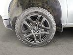 2023 Chevrolet Silverado 1500 Crew Cab 4WD Pickup for sale #D163515A - photo 14