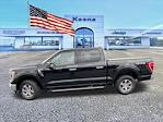2021 Ford F-150 Crew Cab 4x4 Pickup for sale #W667T - photo 9