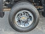 2025 Chevrolet Silverado 3500 Crew Cab 4WD Pickup for sale #SF129116A - photo 5