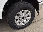 2024 Ford F-250 Crew Cab 4x4 Pickup for sale #CR482 - photo 10