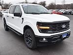 2025 Ford F-150 SuperCrew Cab 4x4 Pickup for sale #CS072 - photo 10