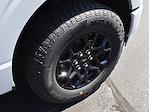 2025 Ford F-150 SuperCrew Cab 4x4 Pickup for sale #CS329 - photo 9
