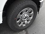 New 2025 Ford F-250 Lariat Crew Cab 4x4 Pickup for sale #CS355 - photo 10