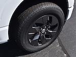 2025 Ford F-150 SuperCrew Cab 4x4 Pickup for sale #CS482 - photo 10