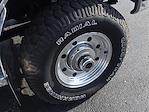 1996 Ford F-250 Regular Cab 4WD Pickup for sale #D5585 - photo 9