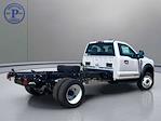 2025 Ford F-550 Regular Cab DRW 4WD Cab Chassis for sale #FMP24F0862 - photo 10