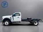 2025 Ford F-550 Regular Cab DRW 4WD Cab Chassis for sale #FMP24F0866 - photo 9