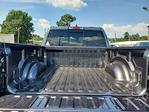 2025 Ram 1500 Crew Cab RWD Pickup for sale #D529212 - photo 9