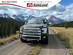 Used 2017 Ford F-150 Platinum SuperCrew Cab for sale #J3003 - photo 4