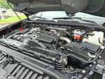 2024 Chevrolet Silverado 2500 Crew Cab 4WD Pickup for sale #20246293 - photo 27
