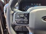 2025 Ford F-150 SuperCrew Cab 4x4 Pickup for sale #00A61987 - photo 30