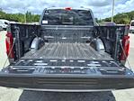 2025 Ford F-150 SuperCrew Cab 4x4 Pickup for sale #00A78366 - photo 34