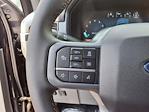 2025 Ford F-150 SuperCrew Cab 4x4 Pickup for sale #00B09281 - photo 31