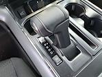New 2025 Ford F-150 XLT SuperCrew Cab 4x4 Pickup for sale #00B37904 - photo 14
