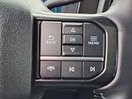 New 2025 Ford F-250 Platinum Crew Cab 4x4 Pickup for sale #00C08342 - photo 30