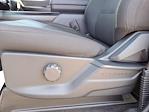 2025 Ford F-150 SuperCrew Cab 4x2 Pickup for sale #00D06839 - photo 14