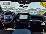 2025 Ford F-150 SuperCrew Cab 4x2 Pickup for sale #00D06839 - photo 15