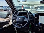 2025 Ford F-150 SuperCrew Cab 4x2 Pickup for sale #00D06839 - photo 16