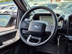 2025 Ford F-150 SuperCrew Cab 4x2 Pickup for sale #00D41296 - photo 15
