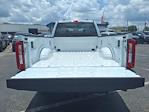 2025 Ford F-250 Crew Cab 4x2 Pickup for sale #00D41913 - photo 29