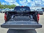 2025 Ford F-150 SuperCrew Cab 4x2 Pickup for sale #00D46892 - photo 31
