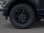 2025 Ford F-150 SuperCrew Cab 4x2 Pickup for sale #00D52660 - photo 19