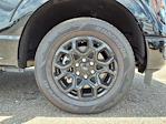 2025 Ford F-150 SuperCrew Cab 4x2 Pickup for sale #00D52660 - photo 35