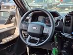 2025 Ford F-150 SuperCrew Cab 4x2 Pickup for sale #00D56662 - photo 16
