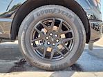 2025 Ford F-150 SuperCrew Cab 4x2 Pickup for sale #00D56662 - photo 33