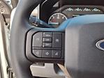 2025 Ford F-350 Regular Cab DRW 4x2 Cab Chassis for sale #00D77450 - photo 24