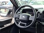 2025 Ford F-150 SuperCrew Cab 4x2 Pickup for sale #00E27358 - photo 16