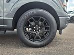 2025 Ford F-150 SuperCrew Cab 4x2 Pickup for sale #00E27358 - photo 33