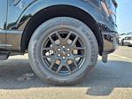 New 2025 Ford F-150 STX SuperCrew Cab Pickup for sale #00E34498 - photo 33