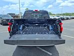 2025 Ford F-150 Lightning SuperCrew Cab AWD Pickup for sale #00G00554 - photo 33