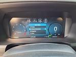 2024 Ford F-150 SuperCrew Cab 4x4 Pickup for sale #00P25606 - photo 19