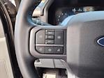 2024 Ford F-150 SuperCrew Cab 4x4 Pickup for sale #00P25606 - photo 29