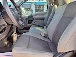 2019 Ford F-150 Regular Cab 4x2 Pickup for sale #0C61555A - photo 13