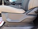 2019 Ford F-150 Regular Cab 4x2 Pickup for sale #0C61555A - photo 14