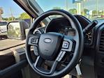 2019 Ford F-150 Regular Cab 4x2 Pickup for sale #0C61555A - photo 16
