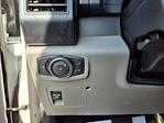 2019 Ford F-150 Regular Cab 4x2 Pickup for sale #0C61555A - photo 29