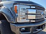 2019 Ford F-250 Crew Cab 4x4 Pickup for sale #0C64423A - photo 9